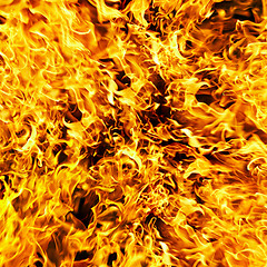 Image showing Fire photo on a black background