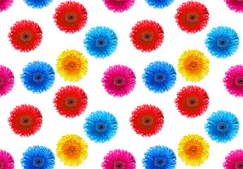 Image showing flowers gerbers seamless background