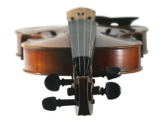 Image showing Violin