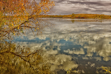 Image showing The pond