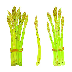 Image showing asparagus spears tied in a bunch