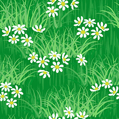 Image showing Camomile field seamless background