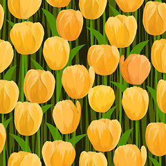 Image showing tulip flowers field seamless