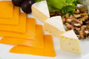 Image showing cheese