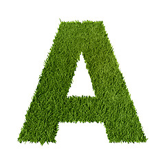 Image showing Green grass letter A
