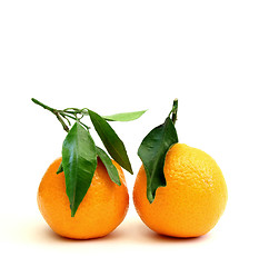 Image showing clementines