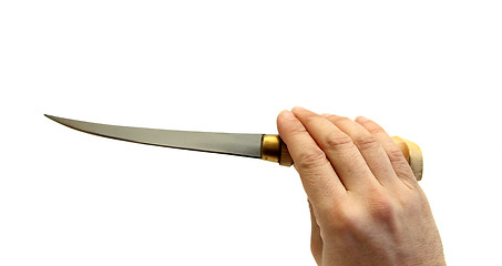 Image showing fillet knife