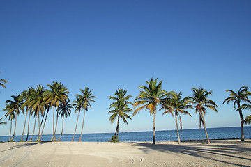 Image showing large beach