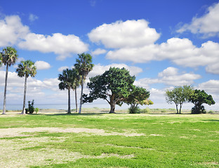 Image showing Sea Landscape