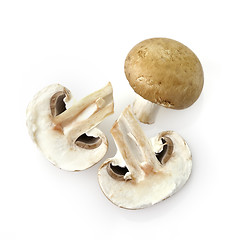 Image showing Mushrooms