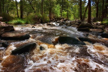 Image showing rushing water in river