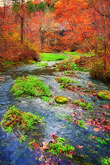 Image showing autumn spring in missouri