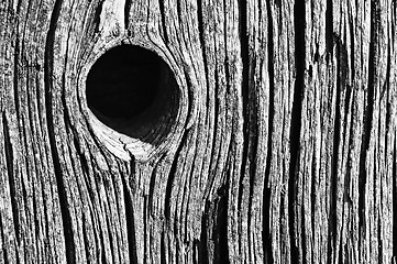 Image showing knothole