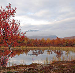 Image showing Abisko national-park