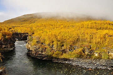 Image showing Abisko national-park