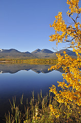 Image showing Abisko national-park