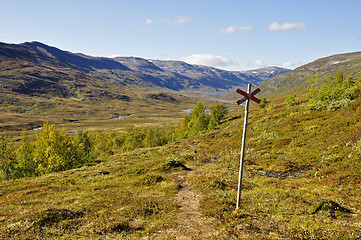 Image showing Abisko national-park