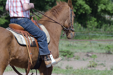 Image showing walking horse ridden