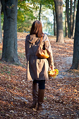 Image showing woman in autumn park 