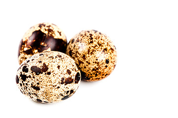 Image showing three quail eggs