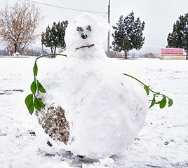 Image showing Snowman creative with green leaf hands ecology symbol