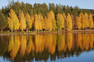 Image showing Lake landscape