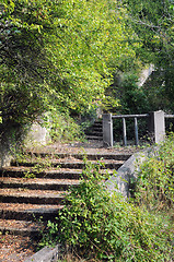 Image showing Steps in the Old Park