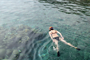 Image showing Snorkeling in the Red Sea