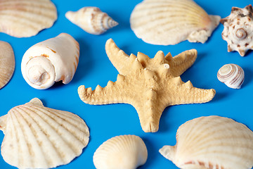 Image showing sea shells