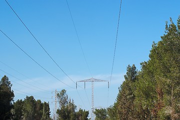 Image showing Overhead power transmission line over the pine forest