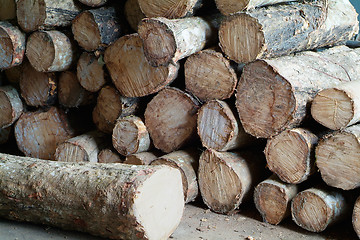 Image showing Stacked wooden logs