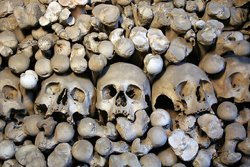 Image showing Human skulls and bones 1