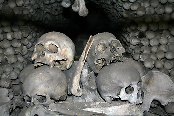 Image showing Human skulls and bones 2