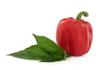 Image showing Red Peppers