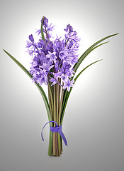 Image showing Bluebell Flowers