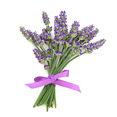 Image showing Lavender Herb Flower Posy