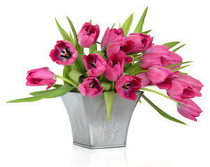 Image showing Pink Tulips