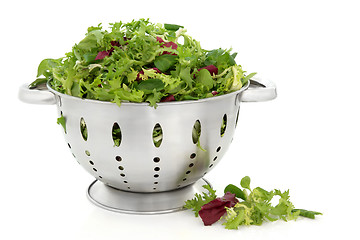 Image showing Lettuce Salad Leaves