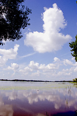 Image showing Summer lake view.