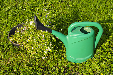 Image showing Green watering can.