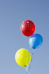 Image showing Multicolor balloons tied with strings. 