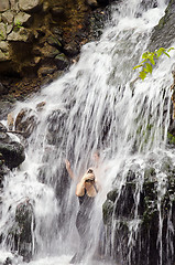 Image showing Refreshing under waterfall.