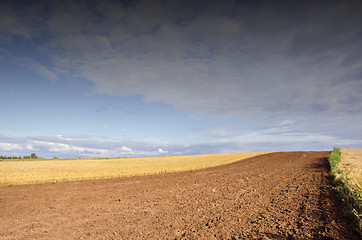 Image showing Agricultural fields.