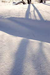 Image showing Path covered with snow. Shadows. 