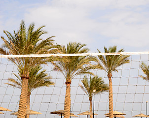 Image showing beach volley