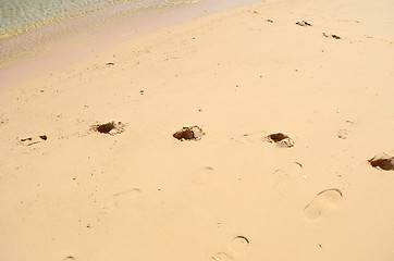 Image showing footprints