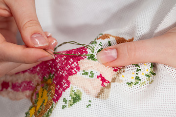 Image showing Cross-stitching