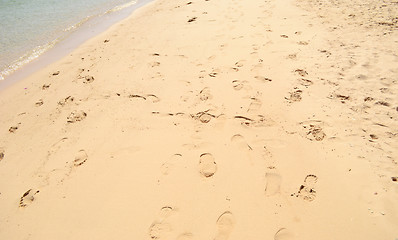 Image showing footprints