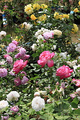 Image showing Market of flowers in spring in France