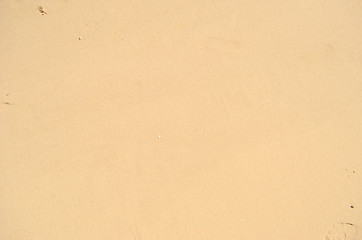 Image showing wet sand